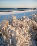 Central Beach - January