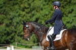 257-TURBO-Isabelle_Cook-WEDTrotUp+DR portfolio