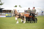 SBM_05674