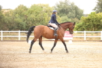 SBM_001055