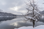 St Moritz 2