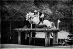 _LES6896bw