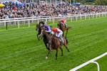 210826-Race 2-Al Nayyir-0147