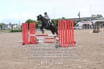 BPP_7333
