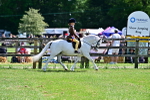 SBM_06465