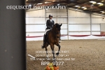 BPP_9377