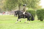 SBM_69813