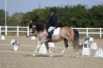 SBM_020939