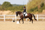 SBM_018381