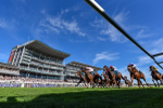 Race 7 5.25pm John Smith's Sprint Handicap portfolio