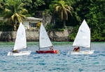 Bequia Youth Sailors at a local regatta held at Young Island