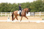SBM_001379
