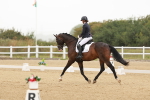 SBM_009865