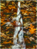 AUTUMN VERNAL POND - NORFOLK COUNTY