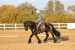 SBM_003264