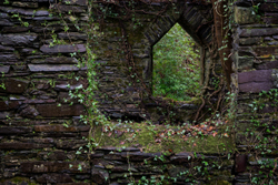 Through the arched window.