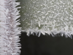 P2160219