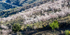 Andalucia 3 -18