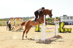 SBM_006668