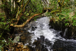 Afon Brynberian in Winter