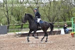 BPP_3773