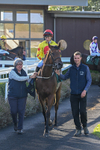 300926-Race 5-Vince Le Prince-6809
