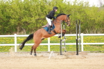 SBM_006036