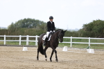 SBM_017931