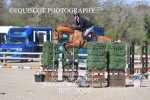 BPP_3049