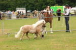 SBM_03496