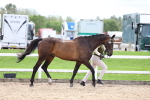 SBM_03907