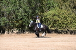 WJ6_7551