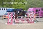 BPP_3363