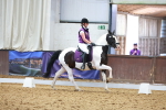 SBM_008803