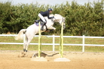 SBM_010409