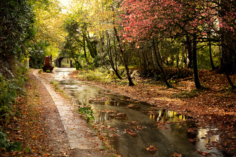 Happy Trails