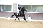 SBM_008281