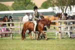 SBM_07672