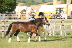 SBM_10306