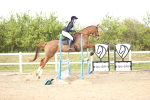 SBM_004039
