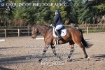 BPP_8015