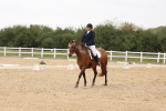 SBM_00448