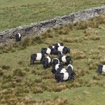 Widdop Res