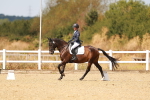 SBM_018443
