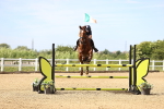 SBM_005009