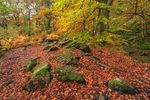 Padley Gorge