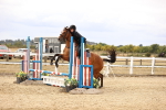 SBM_007297