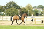 SBM_68261
