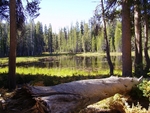 Yosemite NP, USA