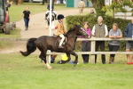 SBM_71557
